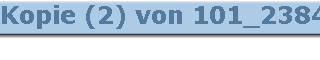Kopie (2) von 101_2384